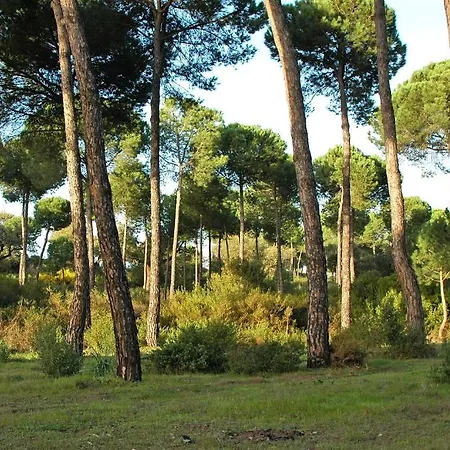 Casa rural Alojamiento Tartessos *